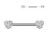 Pair Titanium Threadless Push In Nipple Barbell With Heart CZ Round End