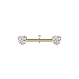 Pair Titanium Threadless Push In Nipple Barbell With Heart CZ Round End
