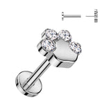 Titanium Threadless Push in CZ Paw Top Labret Cartilage