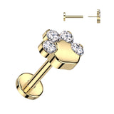 Titanium Threadless Push in CZ Paw Top Labret Cartilage