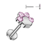 Titanium Threadless Push in CZ Paw Top Labret Cartilage