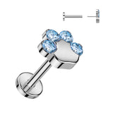 Titanium Threadless Push in CZ Paw Top Labret Cartilage