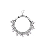 High Quality Precision CZ Fan Hinged Segment Ring Daith Septum
