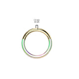 Titanium Hinged Segment Hoop Ring Photochromic For Nose Septum Cartilage