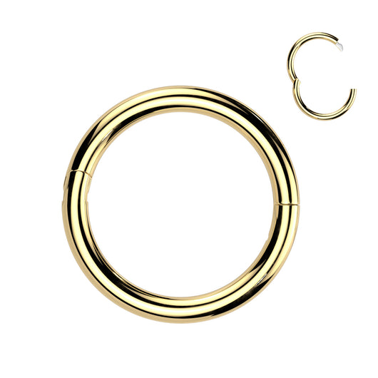 Titanium Hinged Segment Hoop Ring Nose Septum Cartilage Helix Lobe