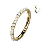 Titanium Hinged Segment Hoop Ring Opal Line For Nose Septum Cartilage