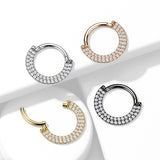 Titanium Hinged Segment Hoop Ring CZ Double Lines For Nose Septum Cartilage