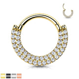 Implant Titanium Double Line CZ Hinged Segment Hoop Rings Septum