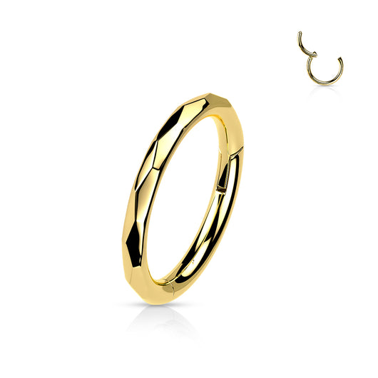 Titanium Hinged Segment Hoop Ring Faceted Side For Nose Septum Cartilage