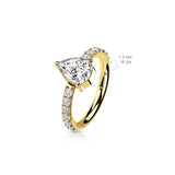 Titanium Hinged Segment Hoop Ring Teardrop CZ For Nose Septum Cartilage
