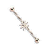 Marquise CZ Snowflake 316L Surgical Steel Industrial Barbells