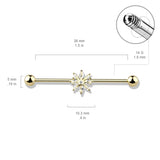 Marquise CZ Snowflake 316L Surgical Steel Industrial Barbells