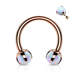 Claw Set Opal Balls Horseshoe Circular Barbells For Cartilage Daith Septum