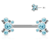 Pair 5 CZ Butterfly Ball Cluster Threadless Push in Nipple Barbells