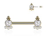 Pair 4 CZ  And Ball Cluster Threadless Push in Nipple Barbells