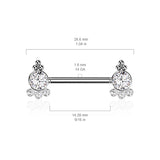 Pair 4 CZ  And Ball Cluster Threadless Push in Nipple Barbells