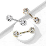 Pair 11 CZ Flower Cluster Threadless Push in Nipple Barbells