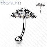 Titanium Threadless Eyebrow Curve with 3 CZ Ball Clusters