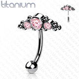 Titanium Threadless Eyebrow Curve with 3 CZ Ball Clusters