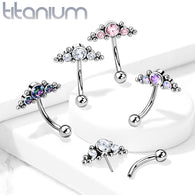 Titanium Threadless Eyebrow Curve with 3 CZ Ball Clusters