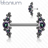 Pair Titanium Threadless Push in Nipple Barbell with CZ Cluster