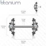 Pair Titanium Threadless Push in Nipple Barbell with CZ Cluster