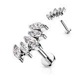 5 Marquise CZ Fan Set Curved Top Labret Tragus Helix Ear Cartilage Studs