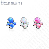 Titanium Bezel Opal 4 Clusters Top for Lip Eyebrow Dermal