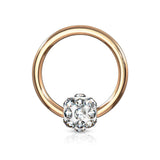 Crystal Paved Ferido Ball Captive Bead Ring Nose Ring Helix Ear Cartilage