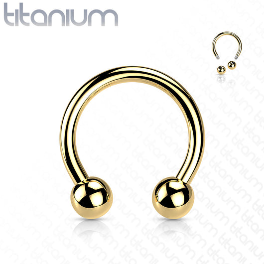 PVD Over Solid Titanium Circular Barbell Horseshoe