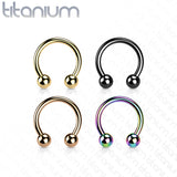 PVD Over Solid Titanium Circular Barbell Horseshoe