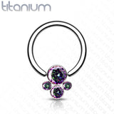 Implant Titanium CZ Pet Paw Captive Rings Ear Cartilage Nose Septum Ring