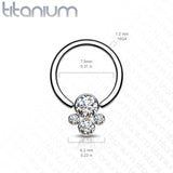 Implant Titanium CZ Pet Paw Captive Rings Ear Cartilage Nose Septum Ring