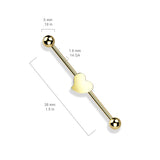 Heart 316L Surgical Steel Industrial Barbell