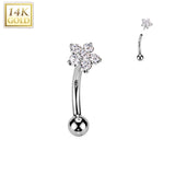 14K Solid Gold CZ Flower Threadless Push In Curved Eyebrow Barbell