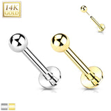 14K Solid Gold Ball Top Threadless Push-In Labret for Cartilage Monroe