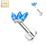 14K Solid Gold Threadless Opal Marquise Top Labret Flat Back Stud