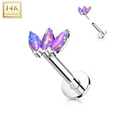 14K Solid Gold Threadless Opal Marquise Top Labret Flat Back Stud