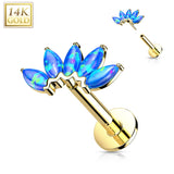 14K Solid Gold Threadless Opals Marquise Top Labret Flat Back Stud