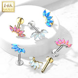 14K Solid Gold Threadless Opals Marquise Top Labret Flat Back Stud