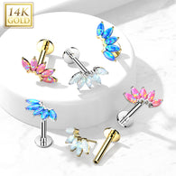 14K Solid Gold Threadless Opals Marquise Top Labret Flat Back Stud