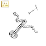 14K Solid Gold Threadless Labret With Snake Top