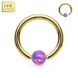 14K Soild Gold Opal Fixed Hoop Nose Rings for Nose Ear Cartilage Septum