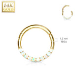 14K Solid Gold Opal Hinged Hoop Ring Nose Septum Daith