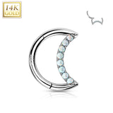 14K Solid Gold Crescent Hinged Segment Hoop Ring Nose Septum Daith