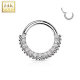 14K Solid Gold Ball CZ Hinged Segment Hoop Ring Nose Septum Daith