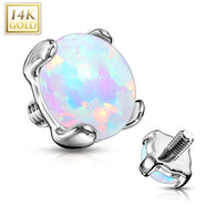 14K Solid White Gold Opal Dermal Anchor Top