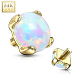 14K Solid Gold Opal Dermal Anchor Top