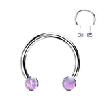 Implant Titanium Facing Bezel Set Opal Horseshoe Circular Barbells