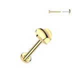 Titanium Threadless Push-In 3D Heart Labret Ear Cartilage Nose